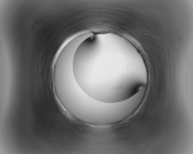X0000083591200200703091713