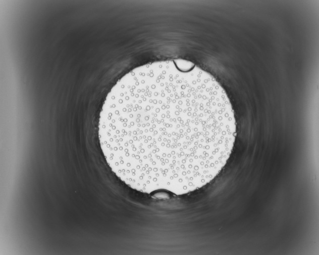 X0000083591201200703091712