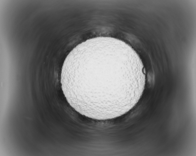 X0000083591203200703091712
