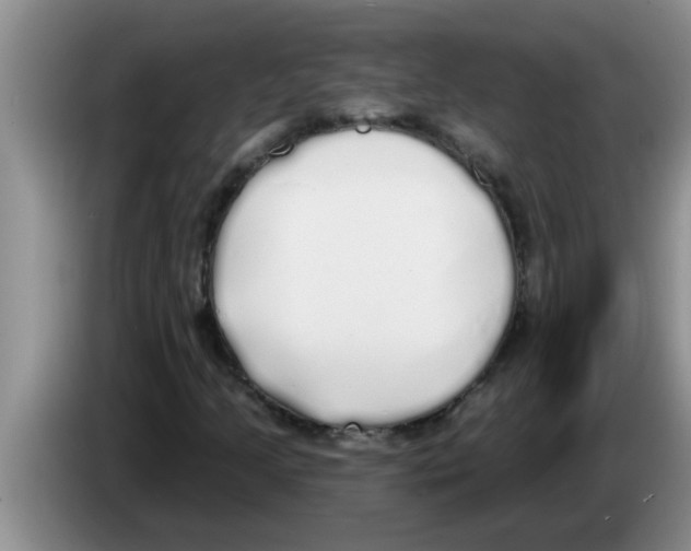 X0000083591205200703091712