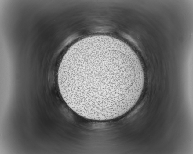 X0000083591211200703091712