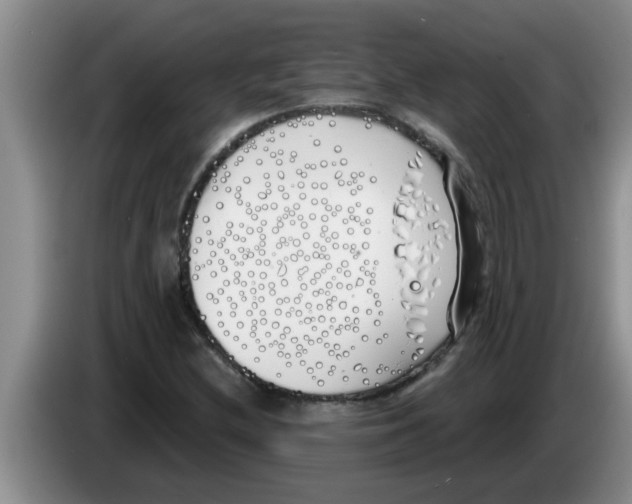 X0000083591212200703091712