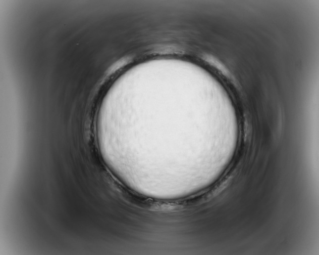 X0000083591213200703091712