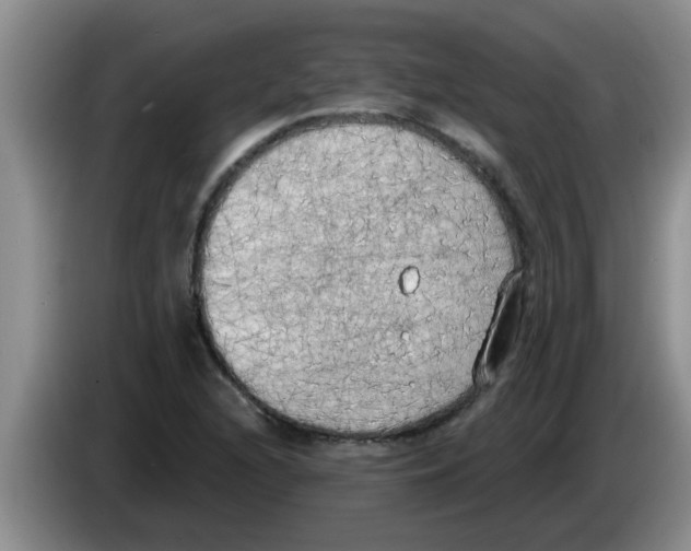 X0000083591216200703091712