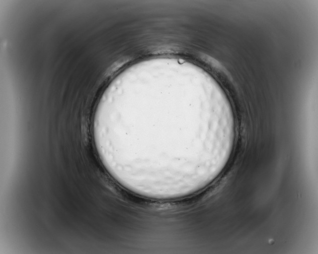 X0000083591217200703091712