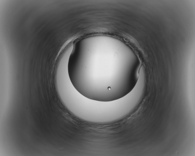 X0000083591218200703091712