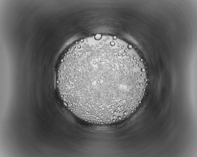 X0000083591219200703091712