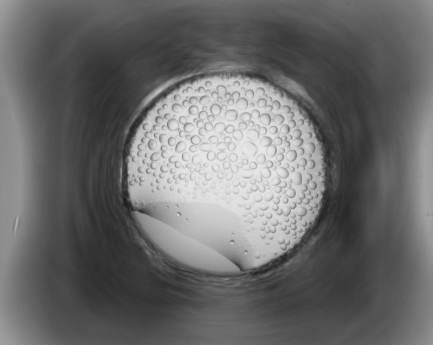 X0000083591220200703091712