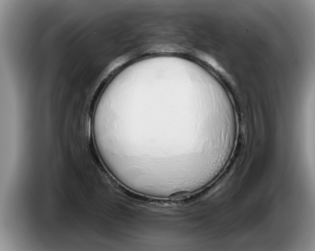 X0000083591221200703091712