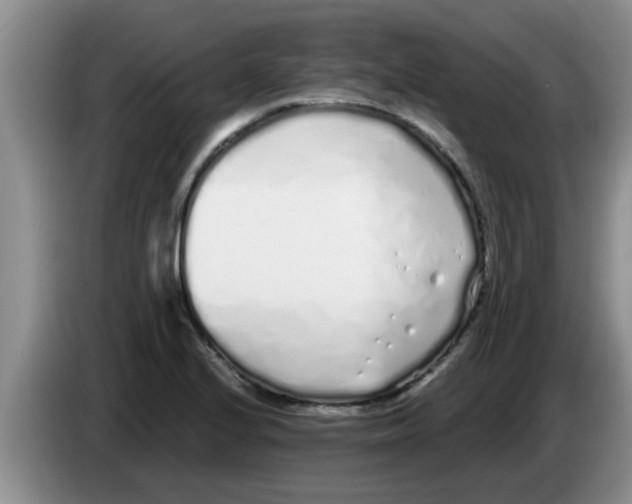 X0000083591224200703091712