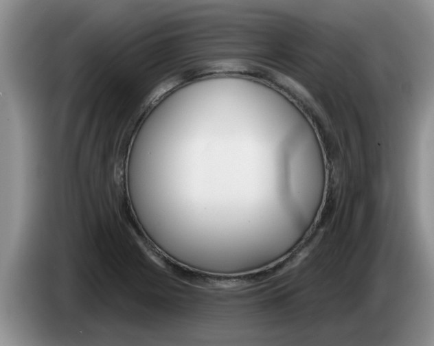 X0000083591225200703091712