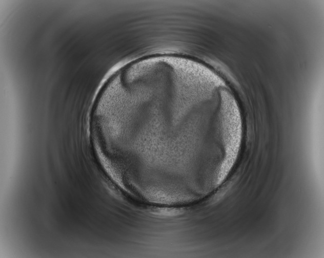 X0000083591226200703091712