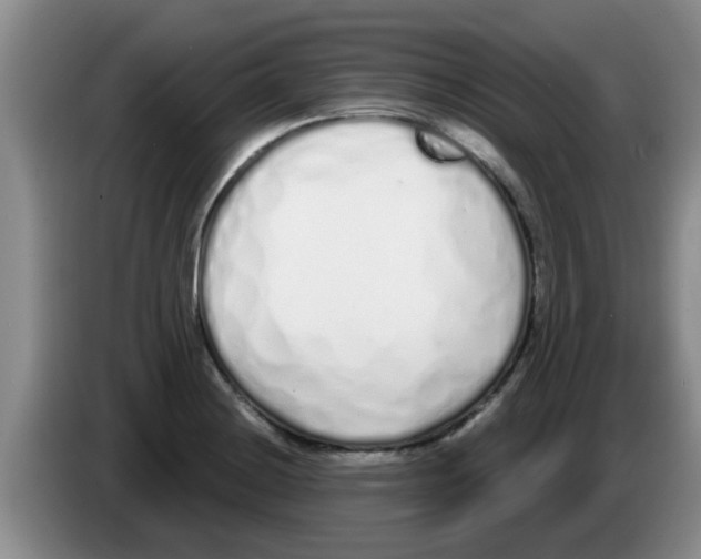 X0000083591228200703091712