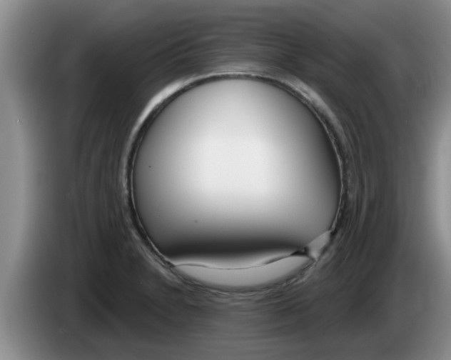 X0000083591230200703091712