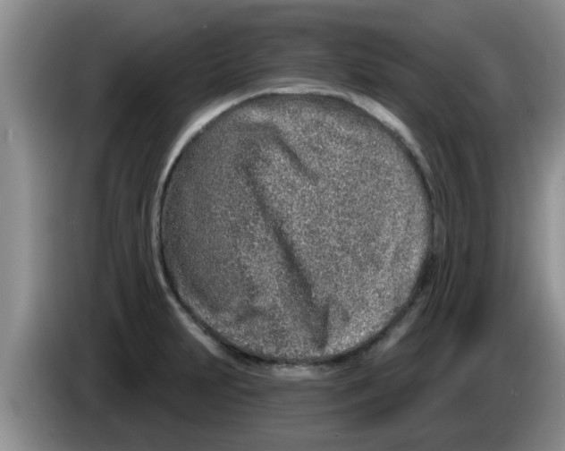 X0000083591231200703091712