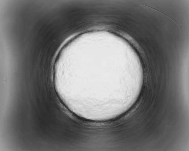 X0000083591232200703091712