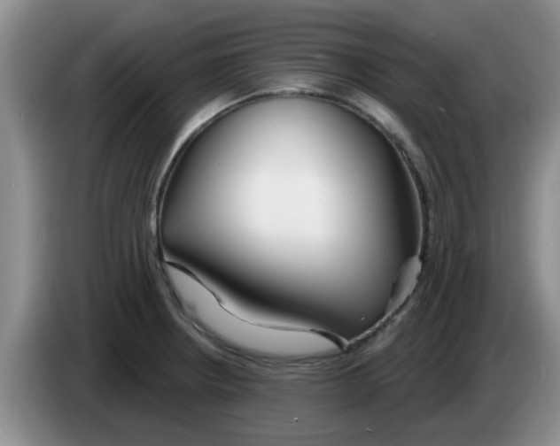 X0000083591234200703091712