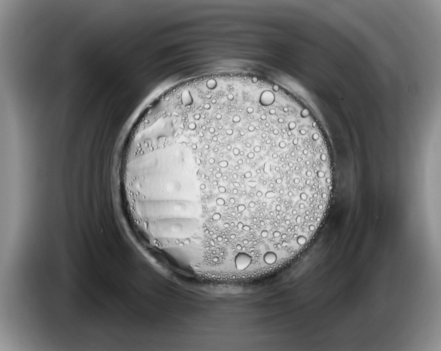 X0000083591235200703091712