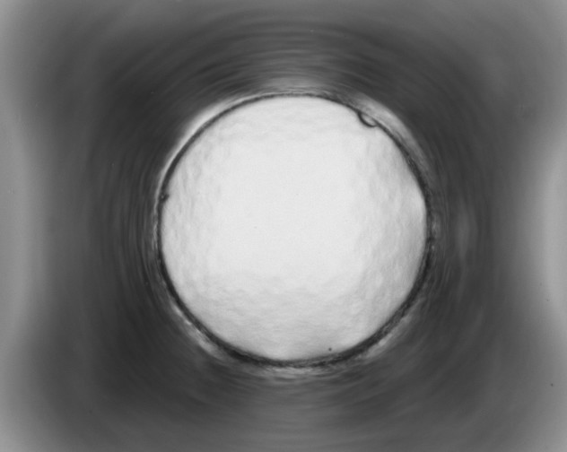 X0000083591236200703091712