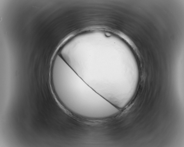 X0000083591237200703091712