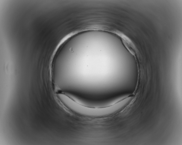 X0000083591238200703091712