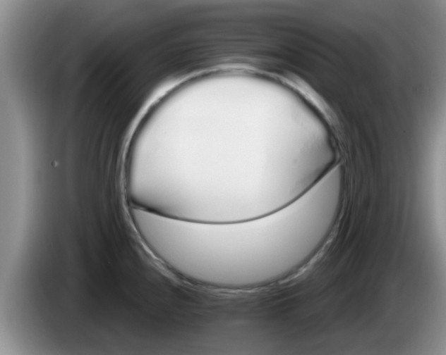 X0000083591240200703091712