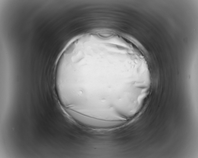 X0000083591244200703091712