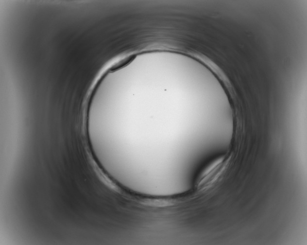 X0000083591246200703091712