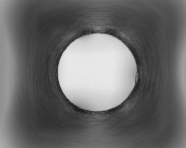 X0000083591249200703091712