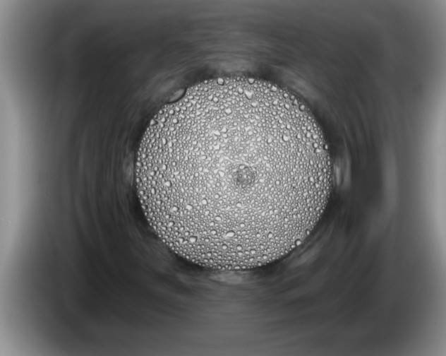 X0000083591251200703091712