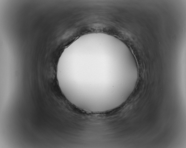 X0000083591253200703091712