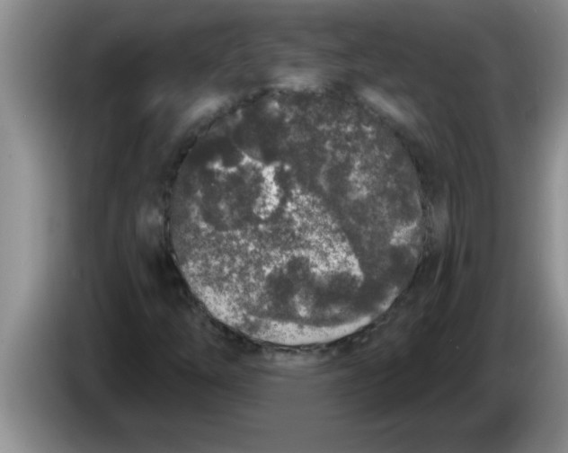 X0000083591254200703091712