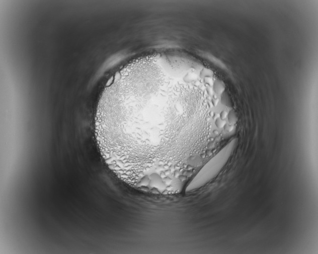 X0000083591255200703091712