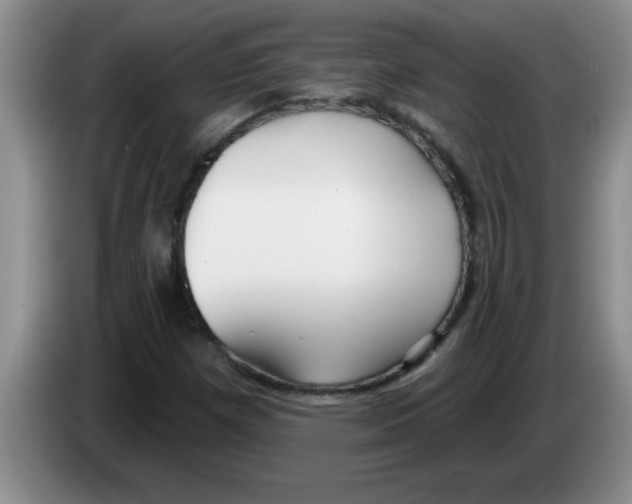 X0000083591257200703091712