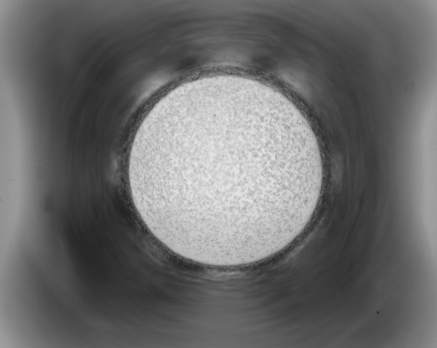 X0000083591258200703091712