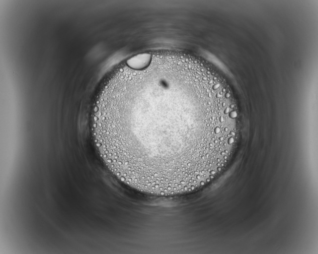 X0000083591259200703091712