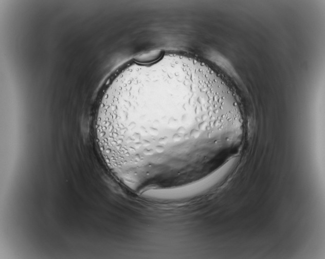 X0000083591260200703091712