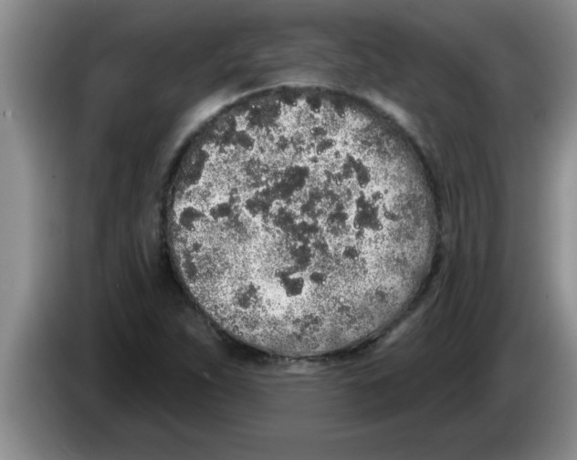 X0000083591263200703091712