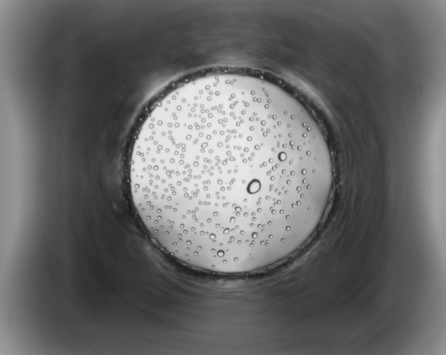 X0000083591264200703091712