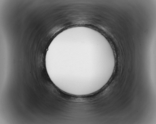 X0000083591265200703091712
