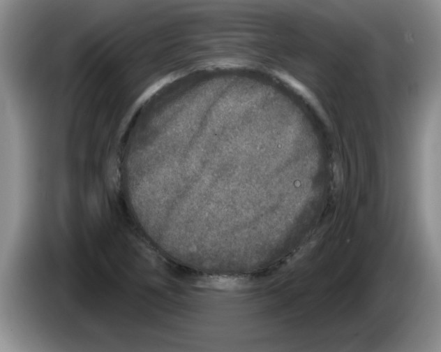 X0000083591266200703091712