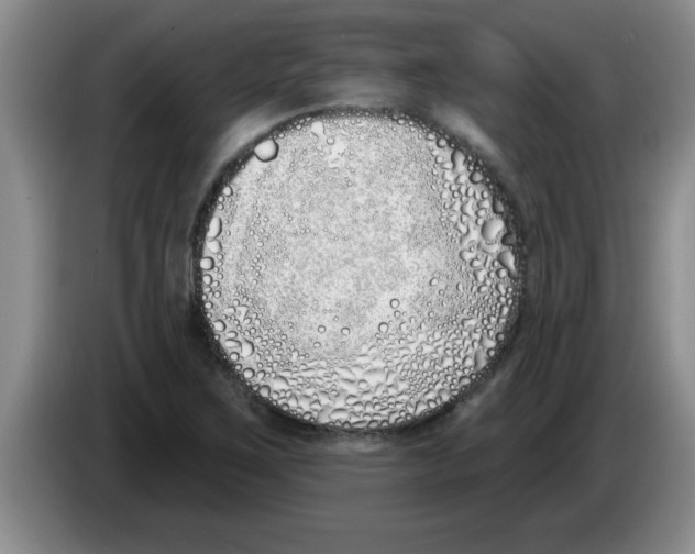 X0000083591267200703091712