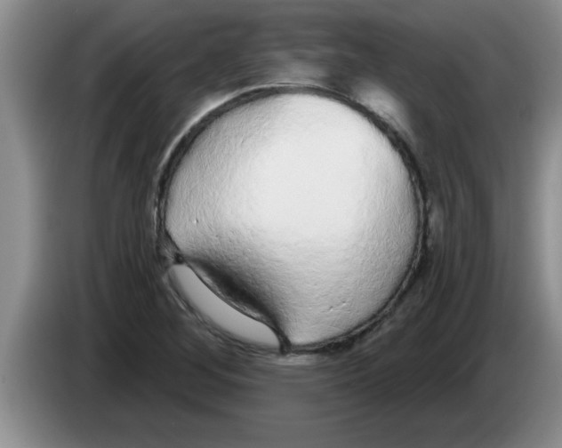 X0000083591268200703091712
