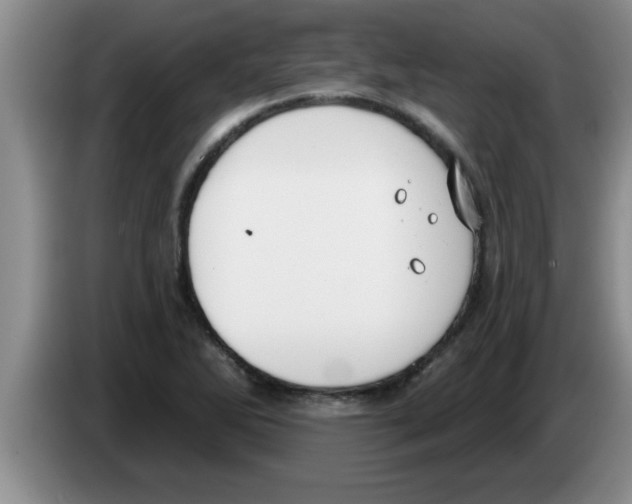 X0000083591270200703091712