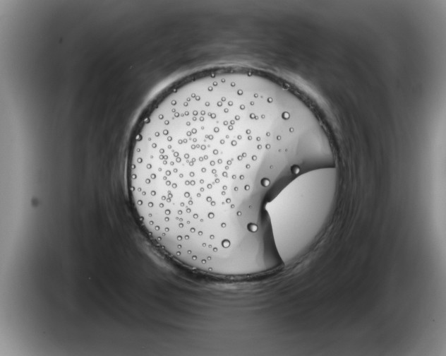 X0000083591272200703091712