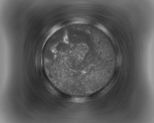 X0000083591274200703091712