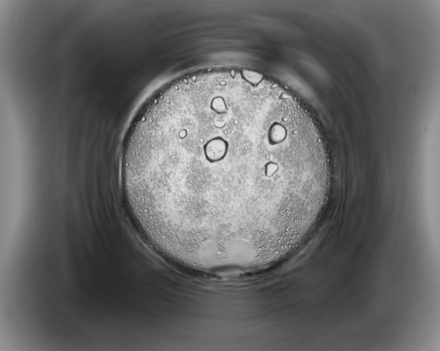 X0000083591275200703091711