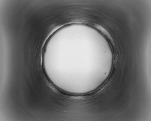 X0000083591276200703091711
