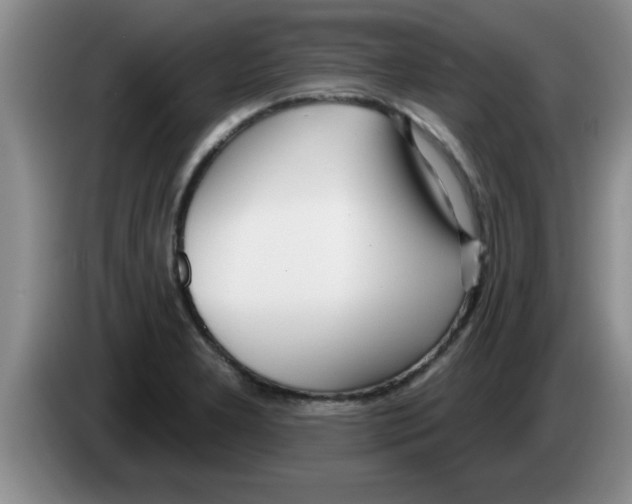 X0000083591277200703091711