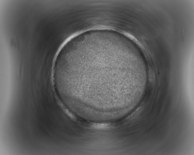 X0000083591278200703091711